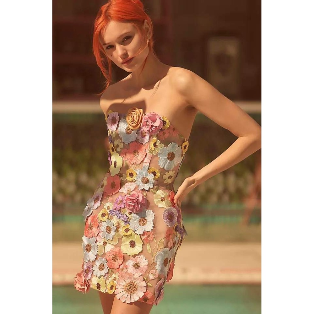 NWT Bronx and Banco Bouquet Maraya Mini Dress $750 - Size 2 / XS - Picture 3 of 16